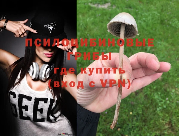 ПСИЛОЦИБИНОВЫЕ ГРИБЫ Богородск