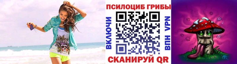 Купить закладки  Ясный  Псилоцибиновые грибы мухоморы 